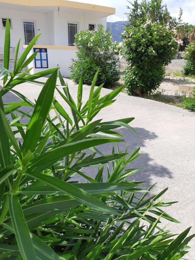 Politis Studios Κέφαλος Εξωτερικό φωτογραφία